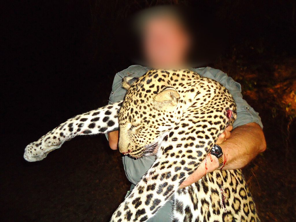leopard hunting cost